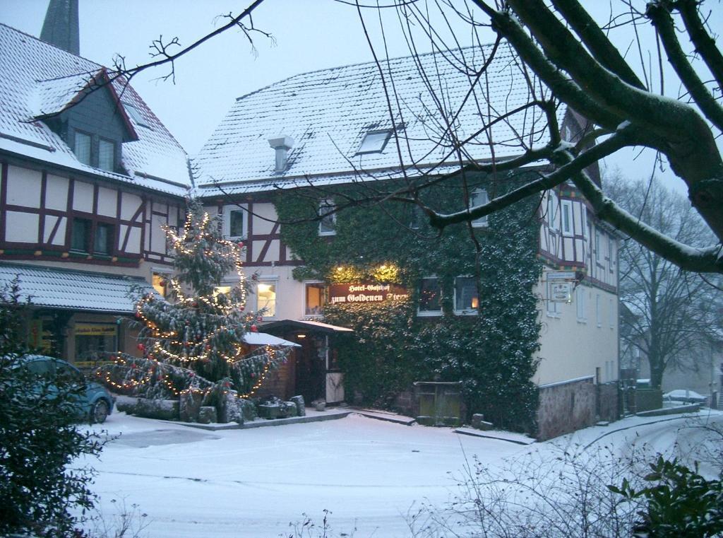 Maison d'hôtes Fritz'es Goldener Stern
